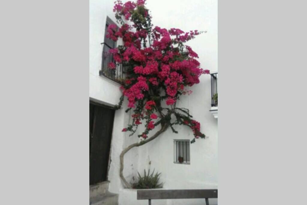 Appartamento Albayalde Cielo Y Mar Vejer de la Frontera Esterno foto