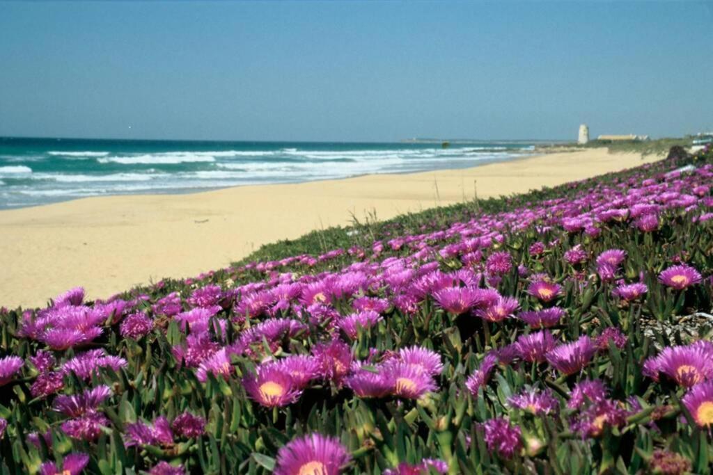 Appartamento Albayalde Cielo Y Mar Vejer de la Frontera Esterno foto